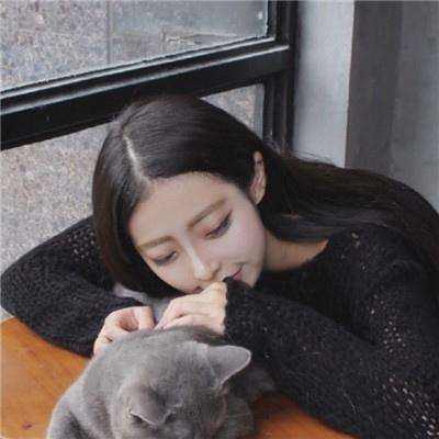 方块粉碎猫咪总动员最新版下载